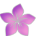 image of a flower