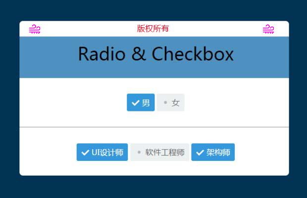 radio & checkbox