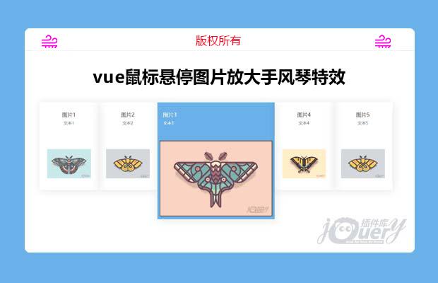 vue鼠标悬停图片放大手风琴特效